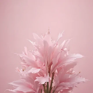 light pink aesthetic wallpaper