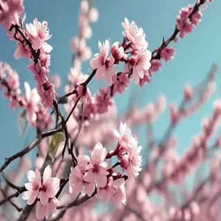 spring iphone wallpaper