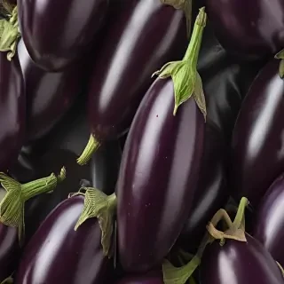 eggplant png