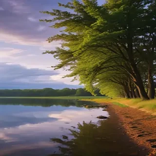 scenic backgrounds