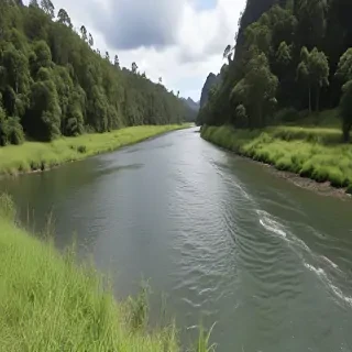 png river