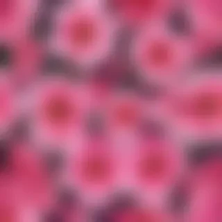 flower wallpaper phone