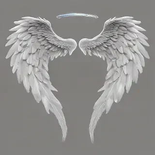 transparent angel wings png