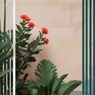 border aesthetic