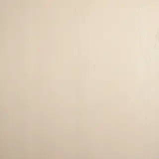 ivory background