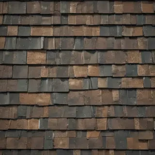 picture of shingles