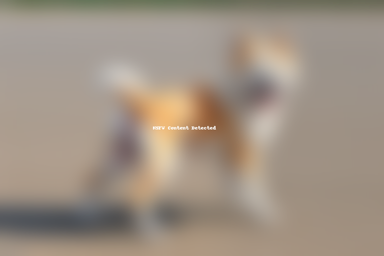 akita pit dog breed