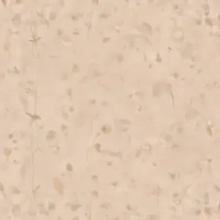 aesthetic beige wallpaper