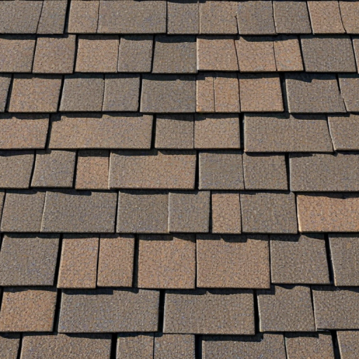 picture of shingles