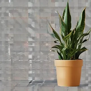 indoor plant png