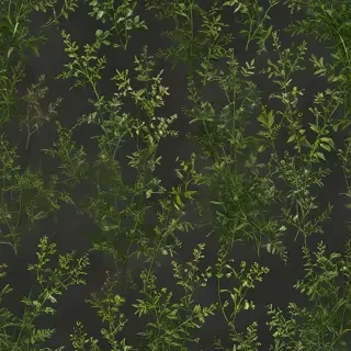 weeds png