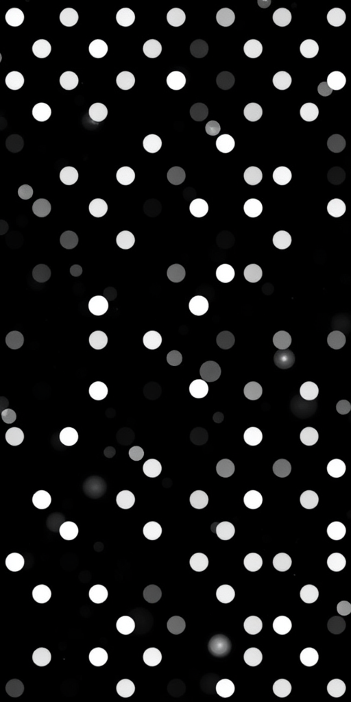 white dots png