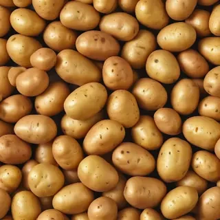 potato png