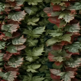 background leaves
