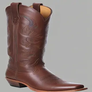 cowboy boot png