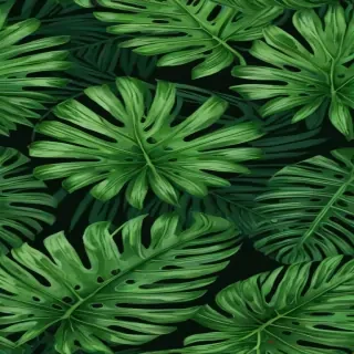 tropical leaf png