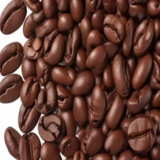coffee bean png