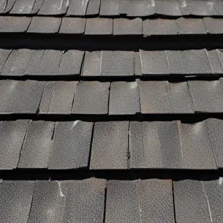 pictures of shingles