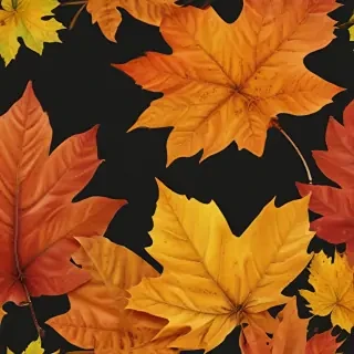 autumn leaf png