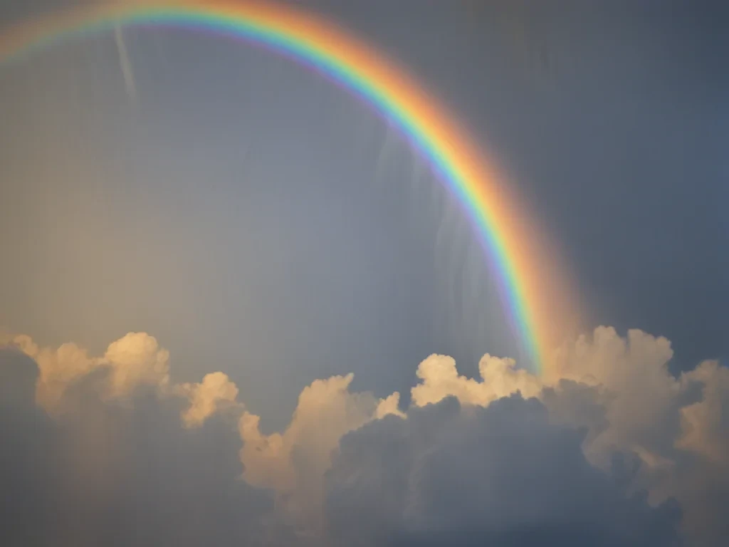 rainbow pictures