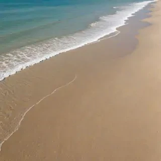 beach transparent