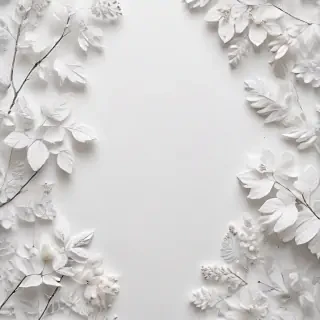 white background aesthetic