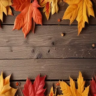 iphone backgrounds fall