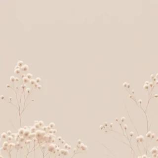 soft beige aesthetic wallpaper