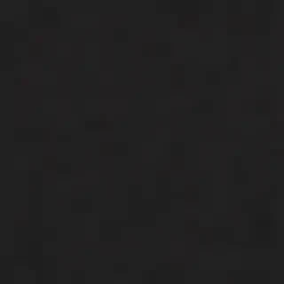 black tee png
