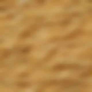 ramen noodles png