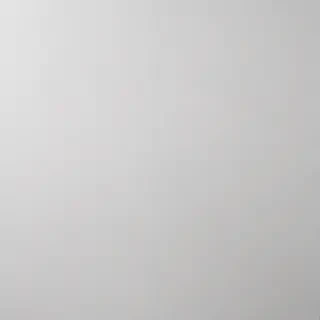 white gray background