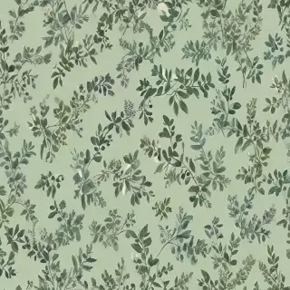 sage green background aesthetic