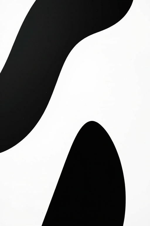 Generate a high-quality minimalist black and white abstract shape design, using a Canon EOS-1D X Mark III, f/5.6 aperture, ISO 100, 50mm focal length, top-down camera view, natural lighting, and soft focus to enhance the image quality.