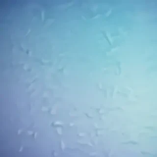blue pastel background