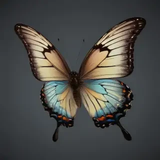 butterfly png outline