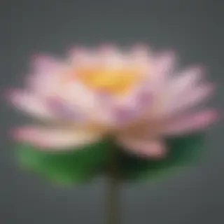 lotus flower png