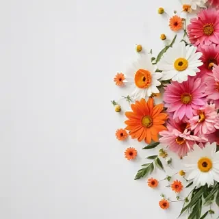 white background with flowers