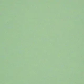 light sage green background