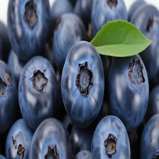 blueberry png