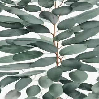 eucalyptus clipart black and white