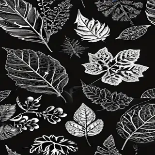 black and white clipart leaf