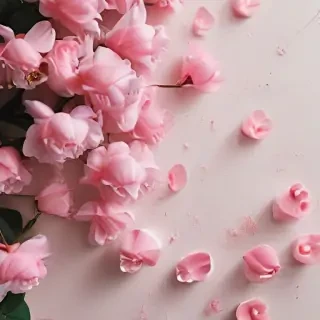 flowers aesthetic wallpaper