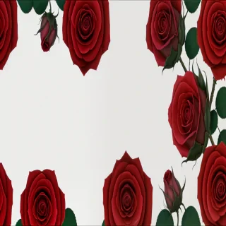 background images rose