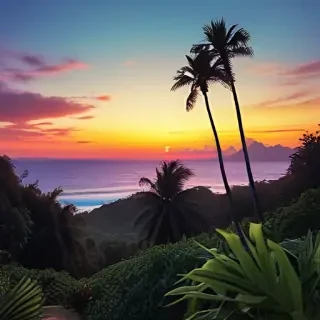 tropical iphone wallpaper