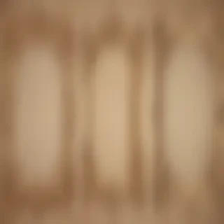 vintage frames png