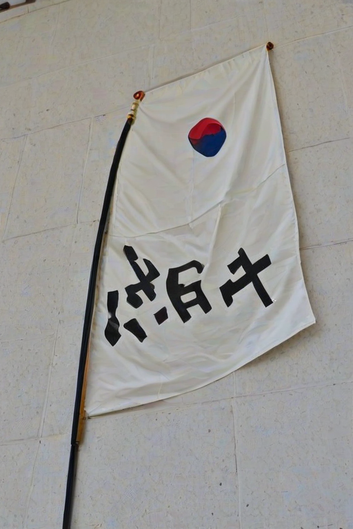 korean flag
