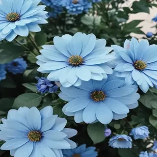 blue flower wallpaper aesthetic