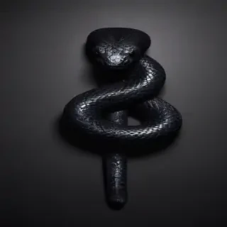 black snake