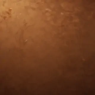 brown background wallpaper