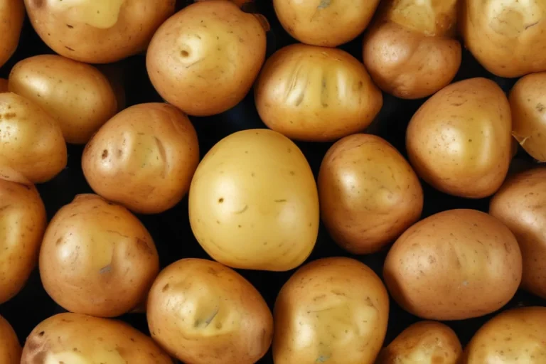 potato transparent background